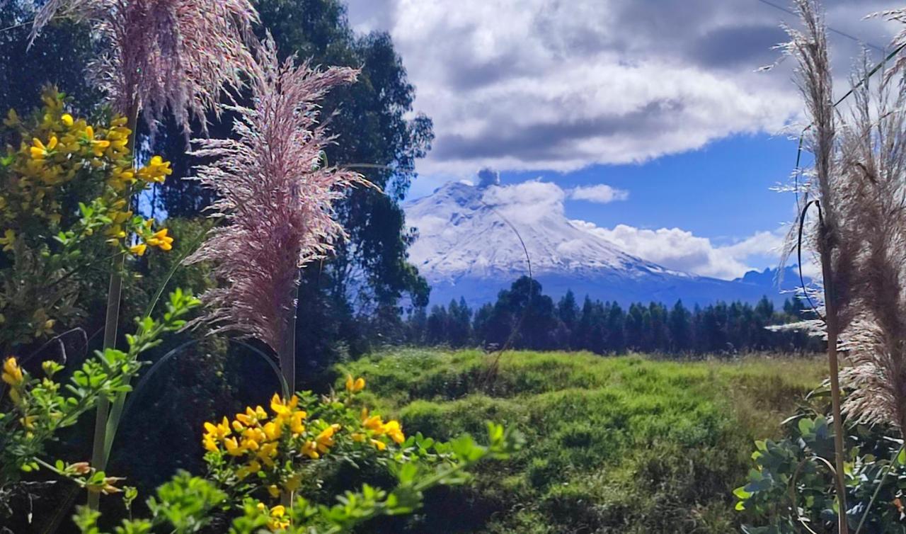 Cuscungo Cotopaxi Hostel & Lodge Chasqui Exteriér fotografie